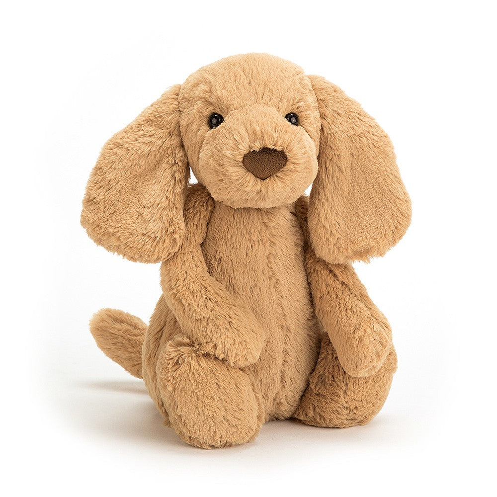 jellycat bashful toffee puppy